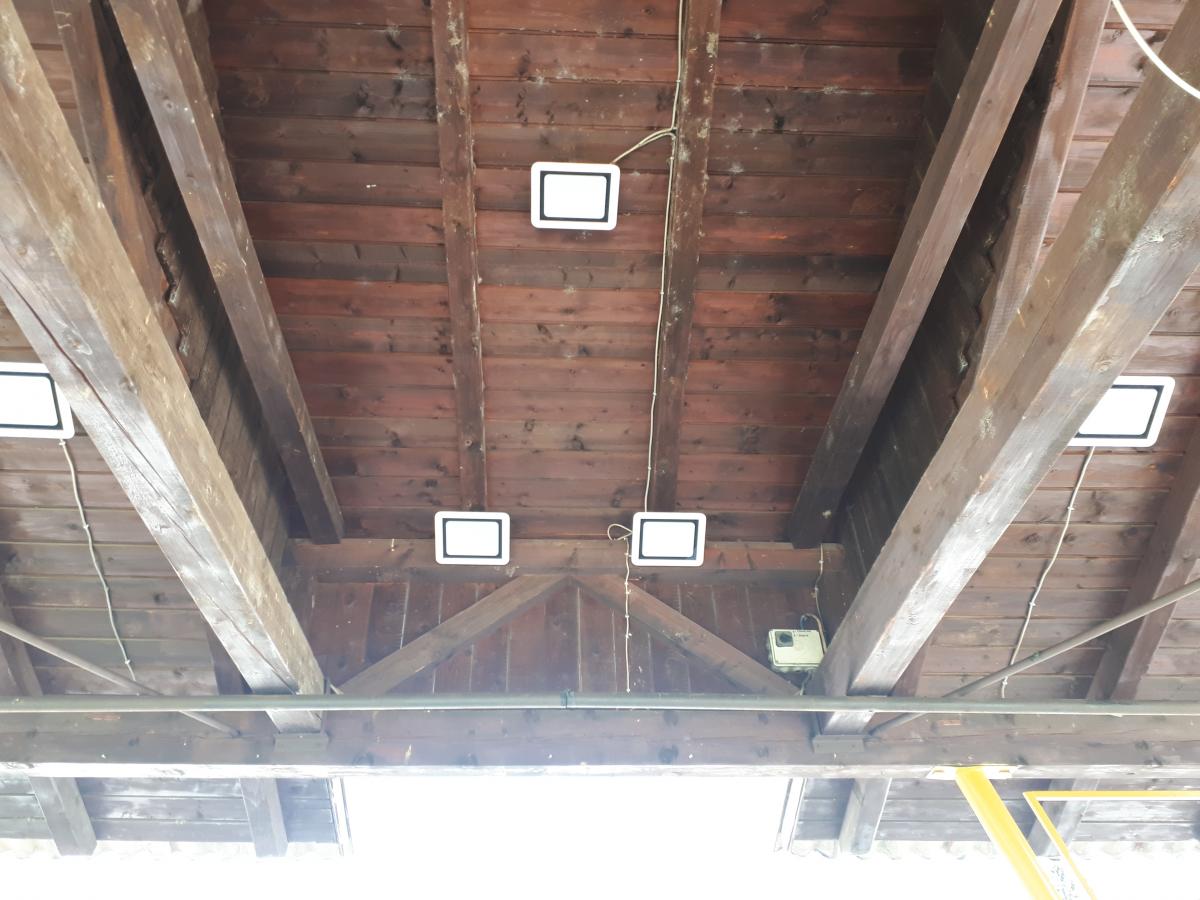 20190517_142228.jpg